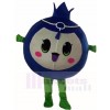 Blueberry Mascot Costumes Fruit