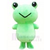 Frog Mascot Costumes Animal 