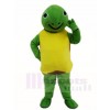 Sea Turtle Mascot Costumes Sea Ocean