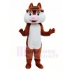 Two Teeth Squirrel Mascot Costumes Animal 