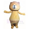 Brown Teddy Bear Mascot Costumes Animal 