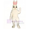 Easter Bunny Mascot Costume