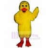 Cute Sleepy Duck Mascot Costume