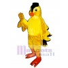 Finch Mascot Costume