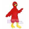 Cute Scarlet Bird Mascot Costume