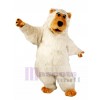 Boris Bear Mascot Costume