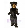Baxter Bear Mascot Costume