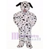 Cute Dalmation Dog Mascot Costume