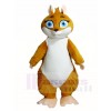 Walking Actor Squirrel Mascot Costumes Animal