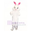 Cute Easter Bunny Rabbit Mascot Costume