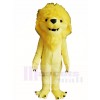 Yellow Lion King Mascot Costumes Animal 