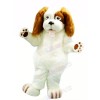 Wizard Dog with Brown Ears Mascot Costumes Animal