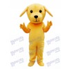 Yellow Dog Mascot Costume