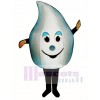 Raindrop Mascot Costume