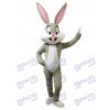 Bugs Bunny Easter Rabbit Mascot Costume