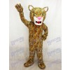 New Jaguar Mascot Costume 