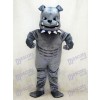 New Grey Bulldog Mascot Costume Animal 