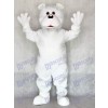 White Bear Adult Mascot Costume