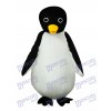 Big Penguin (Revised) Adult Mascot Funny Costume