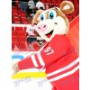 Stormy Carolina Hurricanes Ice Hog Mascot Costume Animal