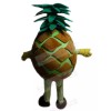 Pineapple mascot costume