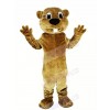 Brown Beaver Mascot Costume Animal Adult