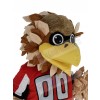 Falcon mascot costume