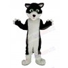 Black and White Border Collie Dog with Green Eyes Mascot Costume