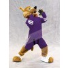 Coyote mascot costume