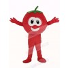 VeggieTales Character Tomato Bob Mascot Costume Cartoon