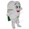 Tooth mascot costume