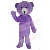 Teddy Bear mascot costume