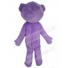 Teddy Bear mascot costume