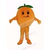 Orange Fruit Mascot Costume