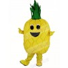 Pineapple Fruit Mascot Costume Cartoon	