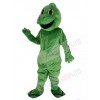 Lizard mascot costume