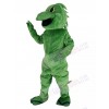 Lizard mascot costume