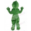 Lizard mascot costume