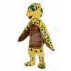 Turtle mascot costume