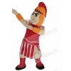 Knight mascot costume