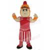 Knight mascot costume