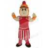 Knight mascot costume