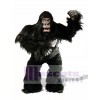 Cute Simian Gorilla Mascot Costume