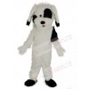 Dog mascot costume