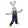 Power Rabbit Mascot Costumes Cartoon	