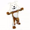Greenstone Bulldog Mascot Costumes Adult