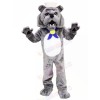 Grey Bulldog Mascot Costumes Adult