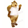 Cash Squirrel Mascot Costumes 
