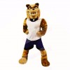 Sport Bull Dog with White Shirt Mascot Costumes Adult