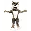 Quality Grey Bulldog Mascot Costumes Cartoon